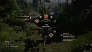 Hunting with Geralt