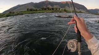 Montana Trout Fishing