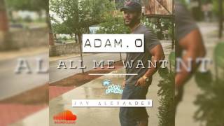 Adam O - All Me Want