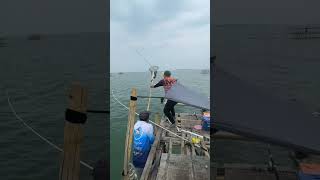 Wow mancing monster besar #fishing #predatorrawa #bassfishing #mancingrawa #vidioshort #shortvideo