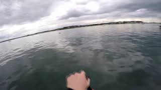 Paddle boarding in Poole Harbour