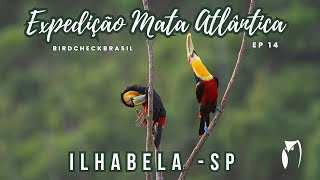 Observação de Aves - Expedição Mata Atlântica Ep 14 - Ilhabela - SP