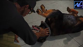 Chop Gets High On Weed! GTA Online Funny Cutscene