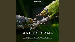 The Mating Game (End Credits)