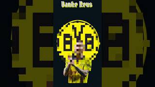 💛🖤 Danke Marco Reus Borussia Dortmund!(respect)