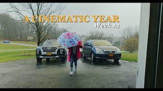 A CINEMATIC YEAR | WEEK 14 | EVERYDAY FILM SCHOOL | IYOBOSA STUDIOS #lumixs5