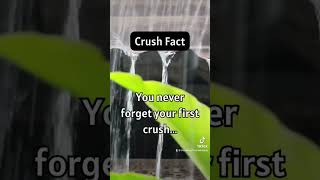 Never forget your first crush.￼