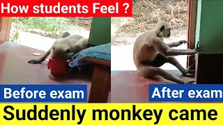 Students feelings during exam days🤣#exam #makaut_exam #examination #shorts