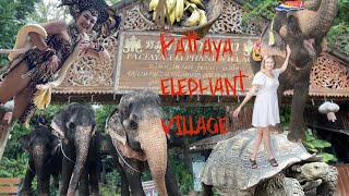 Паттайя Деревня Слонов / Еlephant village