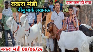 Nimbu park Bakra Mandi |09/06/24 |Bakra Mandi Full Details Video