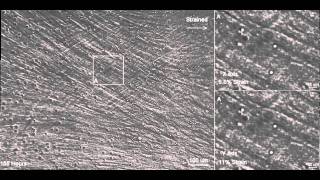 BioTense Bioreactor - Cell/Matrix Interaction Before and After Applied Construct Strain