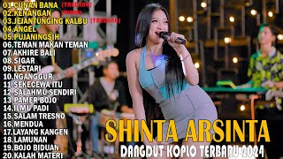 SHINTA ARSINTA TERBARU 2024🎶SHINTA ARSINTA FULL ALBUM🎶DANGDUT KOPLO TERBARU 2024🎶CIINAN BANA