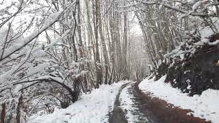 Walking on a snowy day: and a unique view when returning from the snowy mountains