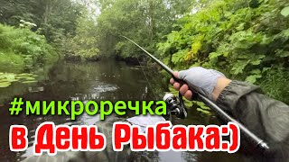 #мормышинг  на ЖИВОПИСНОЙ МИКРОРЕЧКЕ #nanojig #рыбалка #fishing