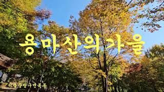 용마산의 가을/사가정공원 일대/서울 중랑구 면목동 산50-26/2024.10.31.