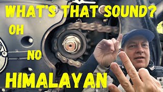 Himalayan Top 10 Checks - 2021 Himalayan Issues with the Drivetrain, Fix the Noise and Ten Steps.