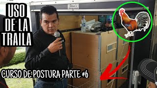 Consejos para el uso de la Traila | Curso de Postura Parte 6 de 7 | Ataraxia