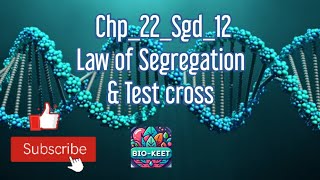 Chp_22_Sgd_12|Mendel's laws|Law of Segregation|Mendel's interpretation|Test cross|Phenotype|Genotype