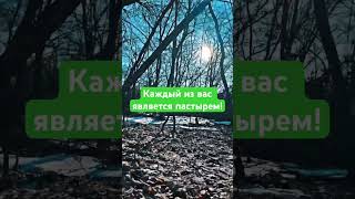 Каждый из вас является пастырем! #ислам