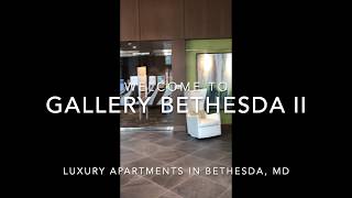 Welcome to Gallery Bethesda II!