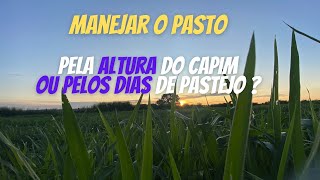 Qual é o melhor jeito de manejar um pasto, altura do capim, ou dias de pastejo ?