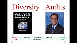 2 -  Diversity Audits through Human Resources - بهاوالدین