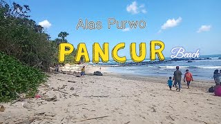 PANTAI PANCUR . ALAS PURWO