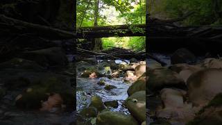 Creek water - spring - lângă izvor #nature #mountaincreek #waterbridge