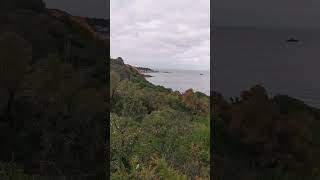 Bay Trail Run 05, Melbourne VIC Australia I #Shorts #listen #calming #running #ocean #baytrail