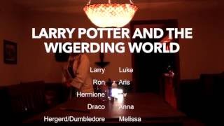 The Wigerding World | Larry Potter 1