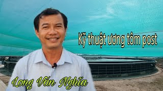 Xử lý nước ương tôm