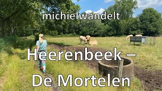 Rondwandeling Heerenbeek en de Mortelen