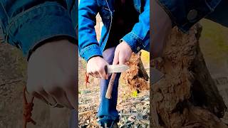 Field Testing a Bushcraft Knife #likeandsubscribe  #bushcraft #outdoors #survival