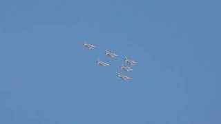 RSAF F-16D+ Formation Flying during NDP 2023