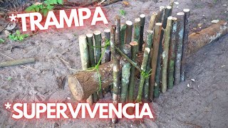 Como hacer una TRAMPA DE SUPERVIVENCIA en casos de emergencia | TRAMPA BUSHCRAFT