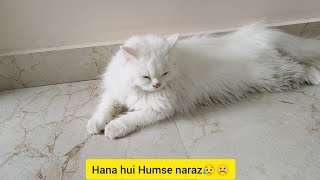 Aaj Hana Ko bahut daant padhi isliye vo humse hui Naraz😥☹️ Chicken ki tasty Tahari😋😋😻