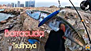 Barracuda hunt | 2 strikes, 2 landed,