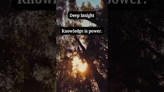 Knowledge vs. Wisdom: The True Power