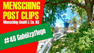 Mensching GmbH & Co. KG | Post Clip #48 | Gehölzpflege Mindener Stadtpark |