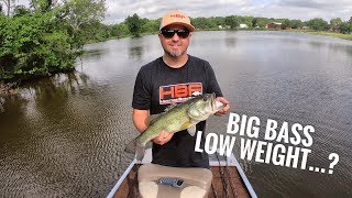 BIG BASS...LOW WEIGHT?!