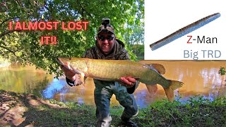 Autumn Musky Caught on #ZMan Big TRD