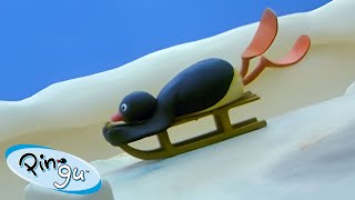 Pingu Toboganning 🐧 | Pingu - Official Channel | Cartoons For Kids