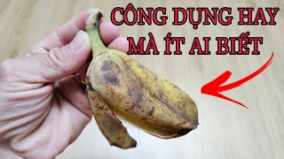 CÔNG DỤNG HAY TỪ VỎ CHUỐI ÍT AI BIẾT NÓ CÓ THỂ ĐUỔI ĐUỔI GIÁN VÀ CÔN TRÙNG CHÚNG SẼ RẤT SỢ