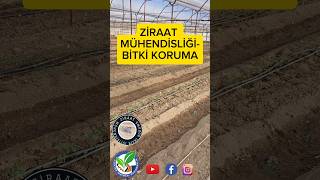 YARIN SAAT 20.30'DA LİNKTEKİ KANALDA BULUŞALIM. https://youtube.com/@zm-bk?si=aTQ4krk5B0o-5RF4