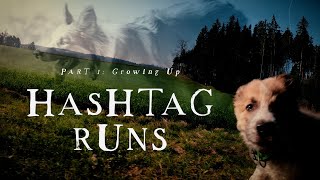 HASHTAG RUNS – Part1: Growing up  (The running Border Collie)