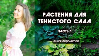 Растения для тенистого сада. Часть 1