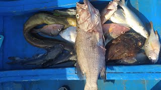 PESCA SUB COM MEU AMIGO NEGÃO DEDO MOLE ÓTIMA PESCARIA COM POUCO PEIXES