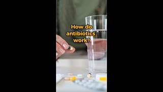 Do you actually know how antibiotics work? WE SPEAK MEDICINE #103