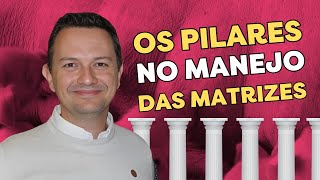 Dr. Bruno Silva: Longevidade e Desempenho de Matrizes