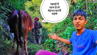 पहाड़ी दिनचर्या 🥰|| Pahadi Lifestyle Vlog || Cool Pahadi || Anuj Pahadi